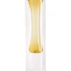 Online 31874 12in Clear And Light Amber Double Wall Glass Vase - cozylivehome.com | we sell a wide range of comfortable household items Giftware