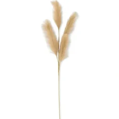 New 42 Inch Beige Grass Stem - cozylivehome.com | we sell a wide range of comfortable household items Giftware