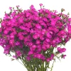 Store 18 Inch Purple Dianthus Spray w/Eva Foliage - cozylivehome.com | we sell a wide range of comfortable household items Giftware