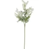 Hot 27 Inch White Mini Burs & Fern Stem - cozylivehome.com | we sell a wide range of comfortable household items Giftware