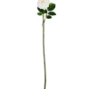 Best 24 Inch White Real Touch Austin Rose Stem - cozylivehome.com | we sell a wide range of comfortable household items Giftware