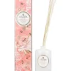 8152 Saijo Persimmon Reed Diffuser - cozylivehome.com | we sell a wide range of comfortable household items^ Shop All