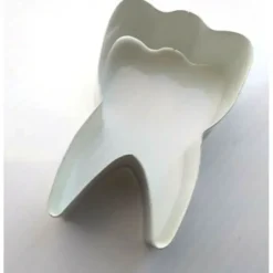 3" Tooth Cookie Cutter - cozylivehome.com | we sell a wide range of comfortable household items^ Shop All