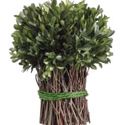 Shop APS230-GR 10.2"PRESERVED BOXWOOD BUNDLE - cozylivehome.com | we sell a wide range of comfortable household items Giftware