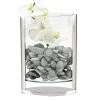 Flash Sale AS20 Pocket Vase - Donald Polished - cozylivehome.com | we sell a wide range of comfortable household items Giftware