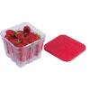 BERRY FRESH BOX RED - cozylivehome.com | we sell a wide range of comfortable household items^ Shop All