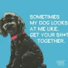 COCKTAIL NAPKIN SOMETIMES MY DOG - cozylivehome.com | we sell a wide range of comfortable household items^ Shop All