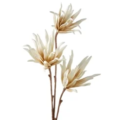 Store EVA&Iron.Flower Branch - cozylivehome.com | we sell a wide range of comfortable household items Giftware