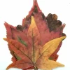 Fall Leaves Parchment - cozylivehome.com | we sell a wide range of comfortable household items^ Shop All