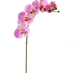 Fashion FSO173-PK/RB 30"RT PHALAENOPSIS SPRAY 9F - cozylivehome.com | we sell a wide range of comfortable household items Giftware