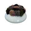 Online Green Pink in White Shiny Oval - cozylivehome.com | we sell a wide range of comfortable household items Giftware