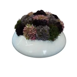 Online Green Pink in White Shiny Oval - cozylivehome.com | we sell a wide range of comfortable household items Giftware