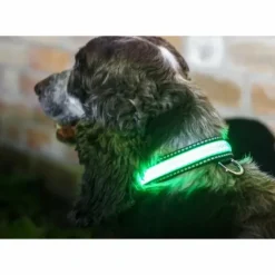 Illuminated Pet Light Up Collar - cozylivehome.com | we sell a wide range of comfortable household items^ Shop All