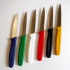 IVO Paring Knife - cozylivehome.com | we sell a wide range of comfortable household items^ Shop All