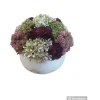 Online Large Multi Color Sedum In White /Fold Pot - cozylivehome.com | we sell a wide range of comfortable household items Giftware