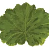 LEAF DIE CUT PAPER PLACEMATS 12PK - cozylivehome.com | we sell a wide range of comfortable household items^ Shop All