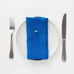 Linen Napkin 2-Set 16" - cozylivehome.com | we sell a wide range of comfortable household items^ Shop All