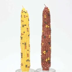 Discount Multi Harvest Corn Taper Candles Set-2 - cozylivehome.com | we sell a wide range of comfortable household items Shop All