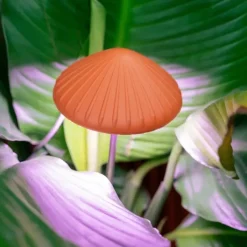 Online Mushroom Grow Light Regular price - cozylivehome.com | we sell a wide range of comfortable household items Shop All