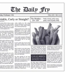 Best Sale NEWSPRINT FRENCH FRY PAPER - cozylivehome.com | we sell a wide range of comfortable household items Housewares