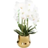Discount OP2722 White Orchid plant in Round shiny gold vase - cozylivehome.com | we sell a wide range of comfortable household items Giftware