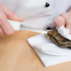 Oyster Knife 3” - cozylivehome.com | we sell a wide range of comfortable household items^ Shop All