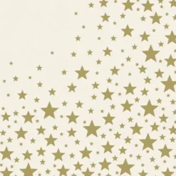 Store PAPER COCKTAIL NAPKIN SHINING STAR - cozylivehome.com | we sell a wide range of comfortable household items Shop All