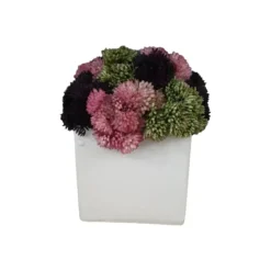 Discount Pink Purple Green in Small Square Pot - cozylivehome.com | we sell a wide range of comfortable household items Giftware