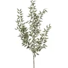 Store PSR249-CR 49"ITALIAN RUSCUS LEAF SPRAY - cozylivehome.com | we sell a wide range of comfortable household items Giftware