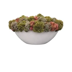 Cheap Purple Green Pink in M Round Pot - cozylivehome.com | we sell a wide range of comfortable household items Giftware