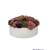 Cheap Sedum Round White Planter/ Color Vary - cozylivehome.com | we sell a wide range of comfortable household items Giftware