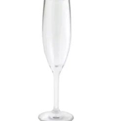Shop STRAHL CHAMPAGNE FLUTE - cozylivehome.com | we sell a wide range of comfortable household items Shop All