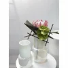 Best Sale Unicorn Glass - cozylivehome.com | we sell a wide range of comfortable household items Shop All