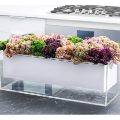 Online VAF-SU-RE-W-SP Vase Flower - Succulent Purple - cozylivehome.com | we sell a wide range of comfortable household items Giftware