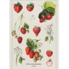 Online Vintage Strawberries Cotton Dishtowel - cozylivehome.com | we sell a wide range of comfortable household items Shop All