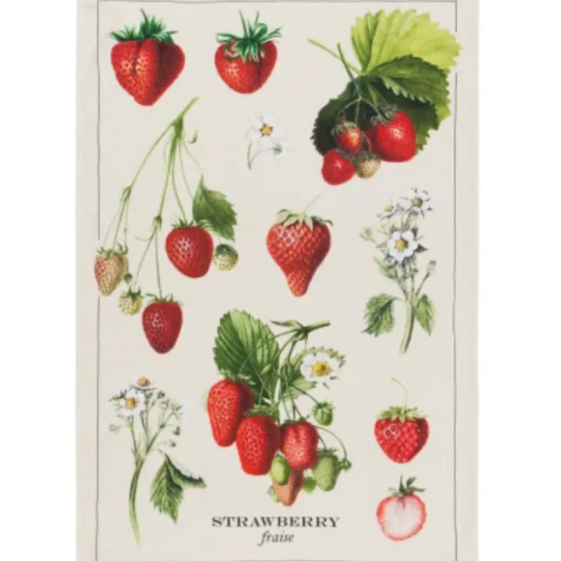Online Vintage Strawberries Cotton Dishtowel - cozylivehome.com | we sell a wide range of comfortable household items Shop All