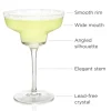 New VISKI ANGLED MARGARITA GLASS - cozylivehome.com | we sell a wide range of comfortable household items Shop All