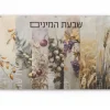 Cheap VP-PB-SH-30X40 Sukkos Vinyl - Batya Shivas Haminim 30x40 - cozylivehome.com | we sell a wide range of comfortable household items Shop All